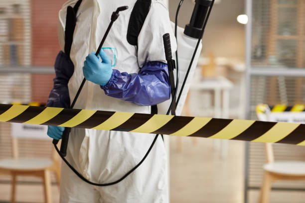 Professional Sewage Cleanup technician working in Lincoln, NH